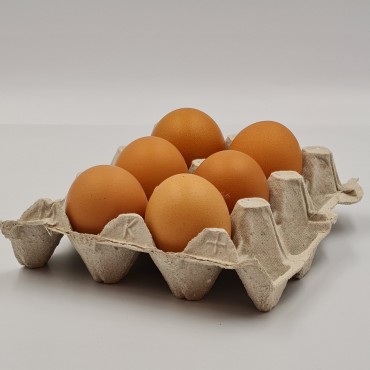 Oeufs fermier locaux BIO