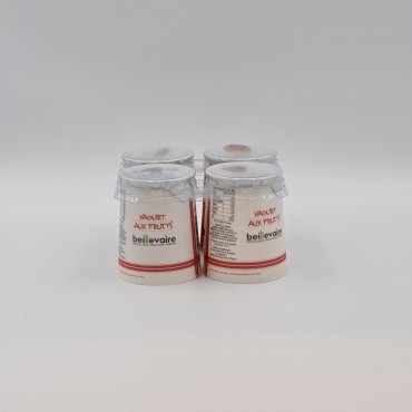 Yaourt brasse aux fruits