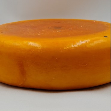 Gouda Fermier