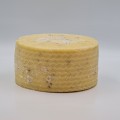 Manchego à la truffe d'été
