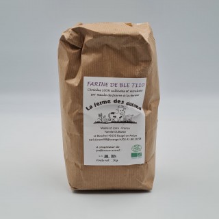 Farine de blé T110 BIO