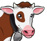 Vache
